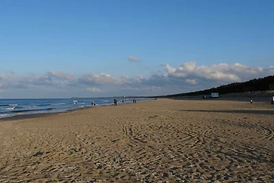 Ferienhaus Lachmöwe