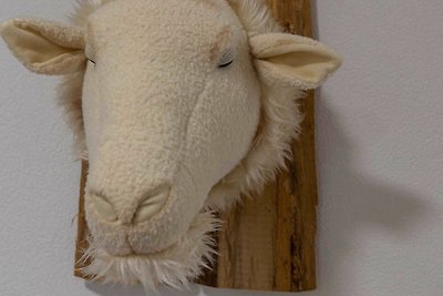 Doppelzimmer Komfort Nr. 15