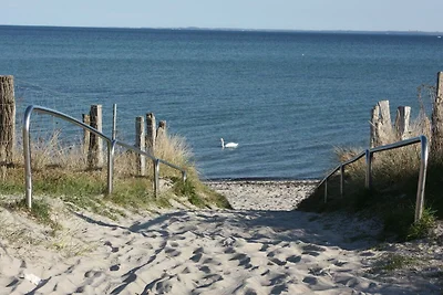 Ferienhaus Strandpark 43