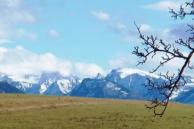 Dachsteinblick