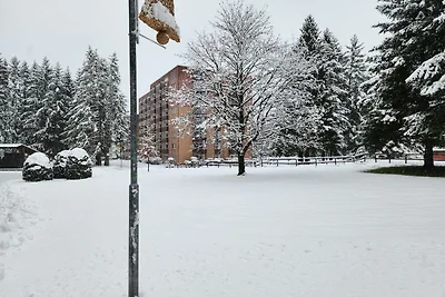 Albergo Cultura ed escursioni Clausthal-Zellerfeld