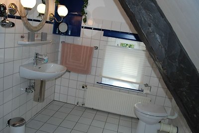 Albergo Cultura ed escursioni Langenhorn
