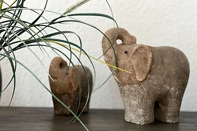 Haus Hus an de Diek Whg 01