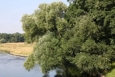 Kuća za odmor Dopust za oporavak Dessau-Roßlau