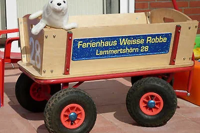 Ferienhaus Weisse Robbe