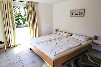 Appartamento Vacanza con famiglia Ringsheim