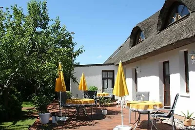 Appartment 4