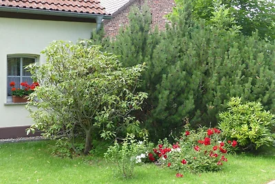 Ferienhaus - 4 SR, Bad/WC