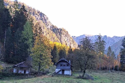 Ferienwohnung Schafberg