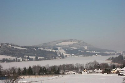 Vakantieappartement Gezinsvakantie Zell am Moos