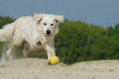 Appartamento Vacanza con famiglia Hasselberg