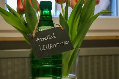 Ferienwohnung Seerose
