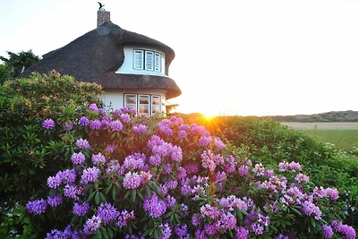 Casa vacanze Vacanza di relax Kampen