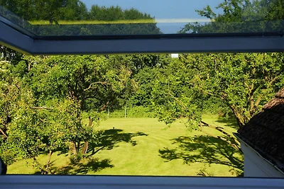 Vakantieappartement Gezinsvakantie Gelting