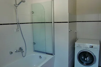 Ferienhaus Lachmöwe