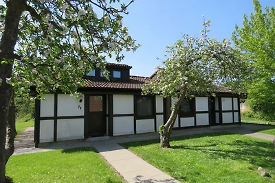 Ferienhaus 79 Scout 42qm für max.