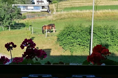 Ferienwohnung mit Balkon für 2-3 Personen