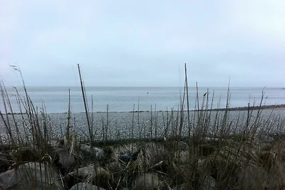 Südwind Nr. 1