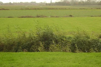 200-103a