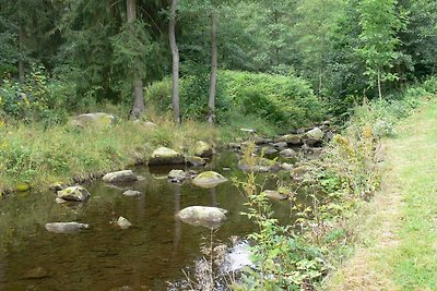 Holiday flat family holiday Goslar