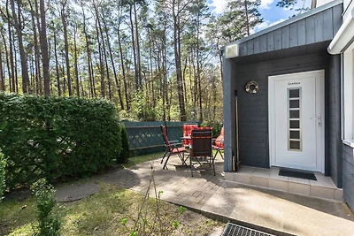 Ferienwohnung Grieben - HITTHIM