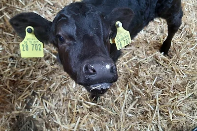 1) FeWo 2-Raum (50m², 2 Pers.