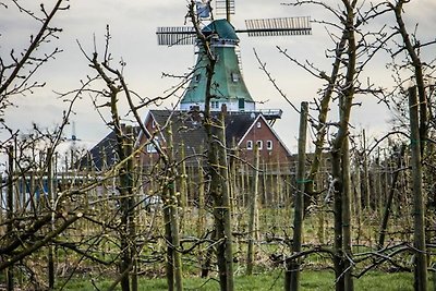 Vakantieappartement Gezinsvakantie Hollern-Twielenfleth