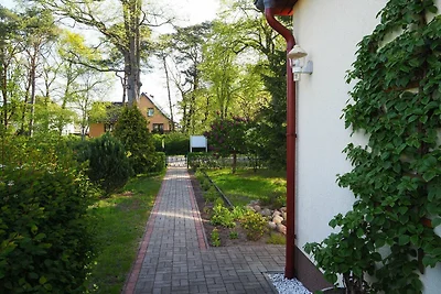 Vakantieappartement Gezinsvakantie Ahlbeck