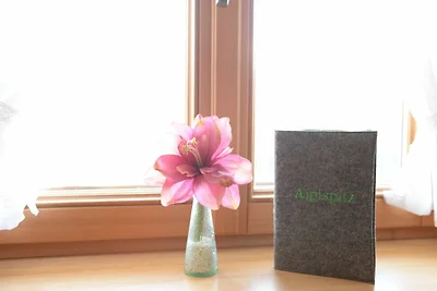 Ferienwohnung Aiplspitz