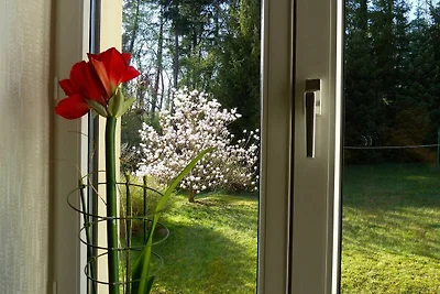 Ferienwohnung Ruhequell
