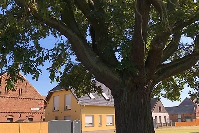 Ferienwohnung Angelika gr. FW