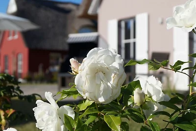 Casa vacanze Vacanza di relax Zierow