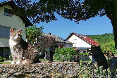 Vakantieappartement Gezinsvakantie Schieder-Schwalenberg