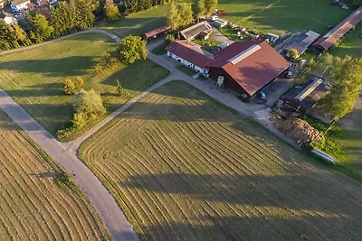 Appartamento Vacanza con famiglia Schwanau