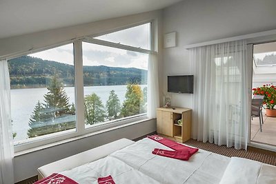 Albergo Cultura ed escursioni Titisee-Neustadt
