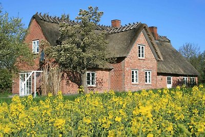 Ferienhaus Altes Schusterhus