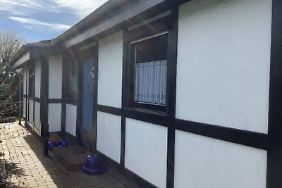 Albergo Cultura ed escursioni Butjadingen