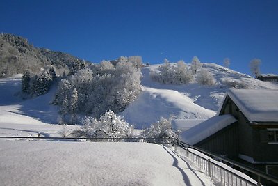 Vakantieappartement Gezinsvakantie Au in Vorarlberg