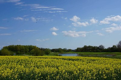 Vakantiehuis Ontspannende vakantie Untergöhren