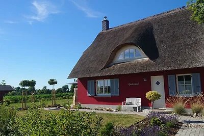 Vakantiehuis Ontspannende vakantie Zierow