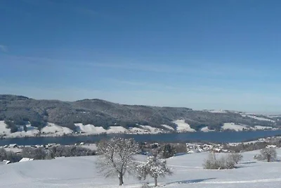 Appartamento Vacanza con famiglia Zell am Moos