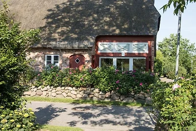 Vakantieappartement Gezinsvakantie Borgsum