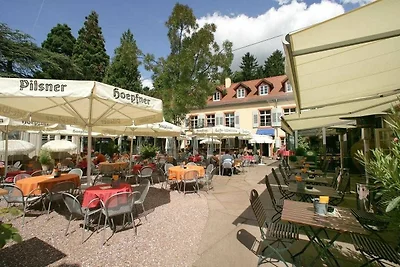 Hotel Cultuur en bezienswaardigheden Ettlingen
