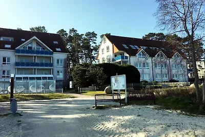 Albergo Cultura ed escursioni Lubmin
