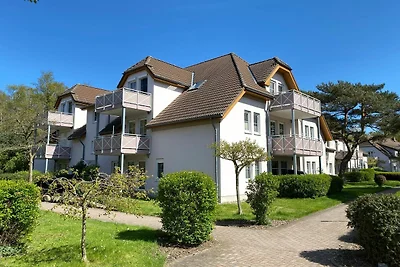 hotel Kultura & zwiedzanie Dierhagen