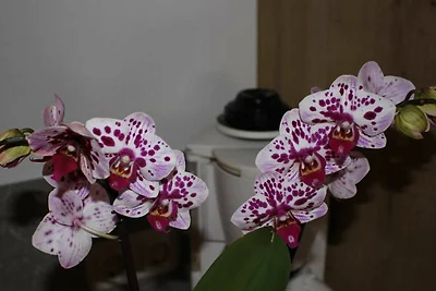 WHG 2 Gaichtspitze 2-4 Personen