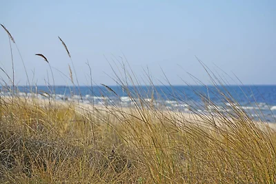 Kaisers vis à vis, Wohnung 5