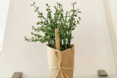 Haus Meeresblick A 3.06 Nordlicht mit...