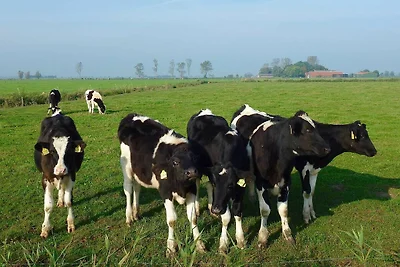 Ferienwohnung 1 van Vlyten