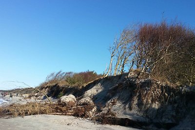 Ferienhaus Fischland Ahrenshoop